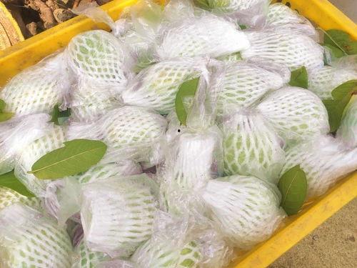 芭乐短视频,轻松捕捉生活精彩瞬间