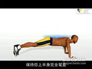 腹卧撑正确姿势视频