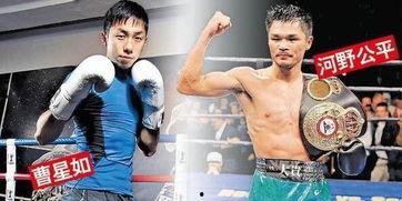 曹星如说老了的视频,揭秘拳坛传奇的“老去”之路