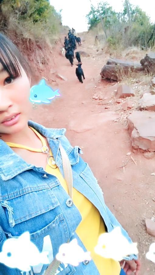 小放羊视频,童趣盎然，田园牧歌的温馨画卷