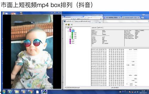 mp4格式短视频,浓缩时光的艺术精华